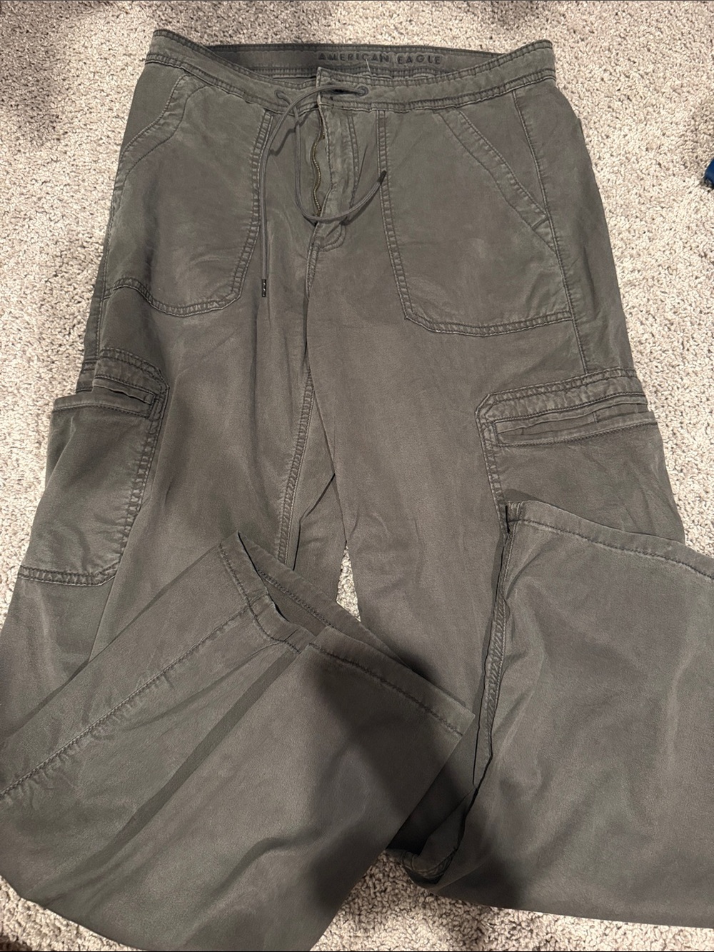 American Eagle Outfitters Olive Cargo Pants with Drawstring Waist